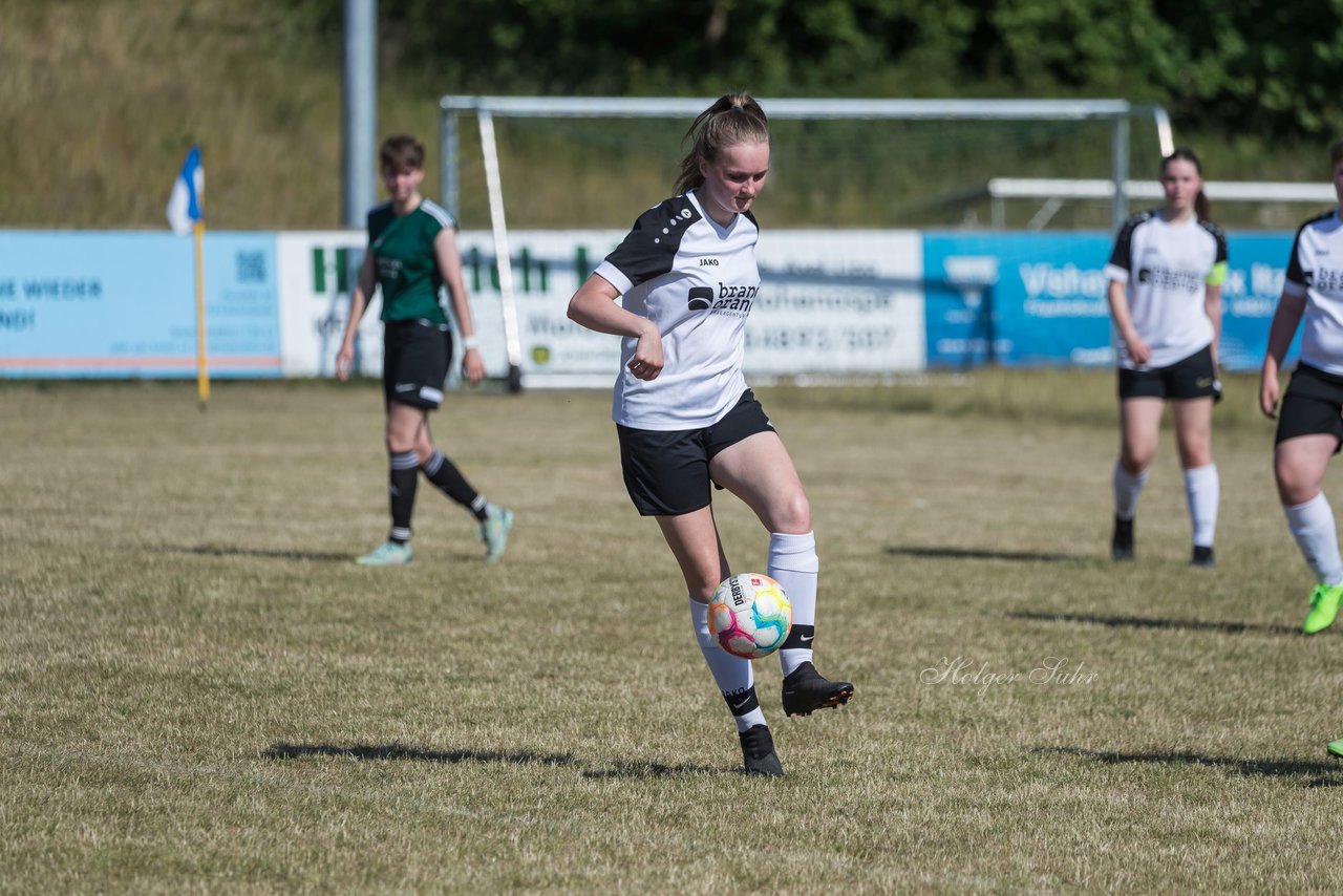 Bild 318 - wBJ TuRa Meldorf/Buesum - JFV Luebeck : Ergebnis: 1:0